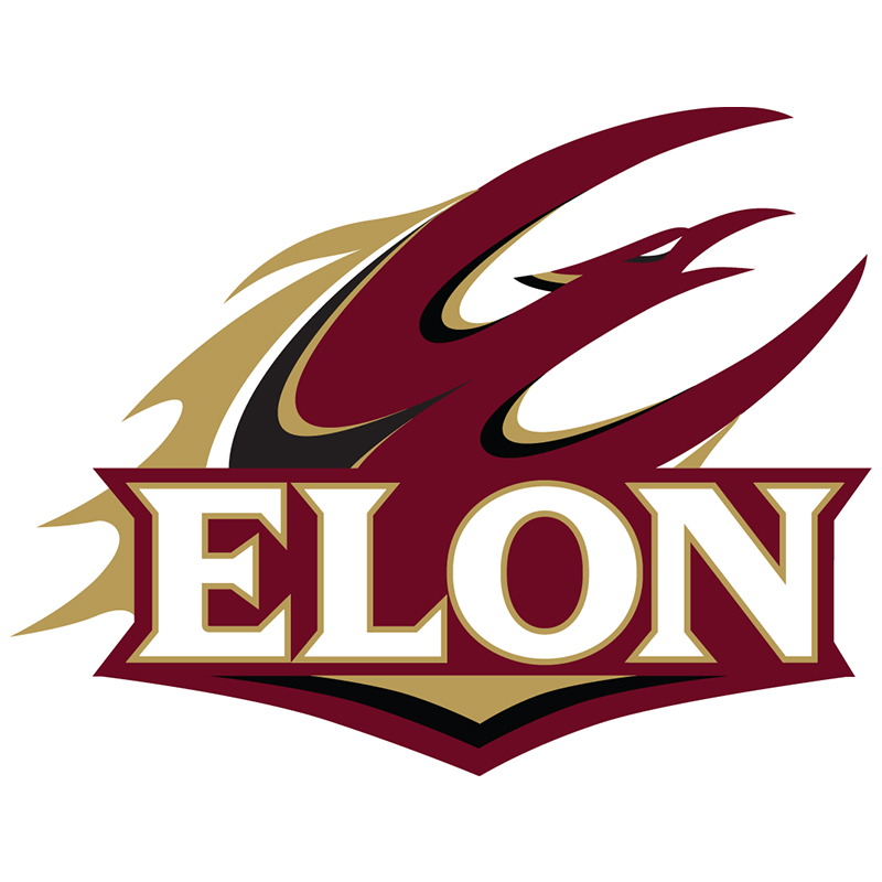 Elon Phoenix iron ons